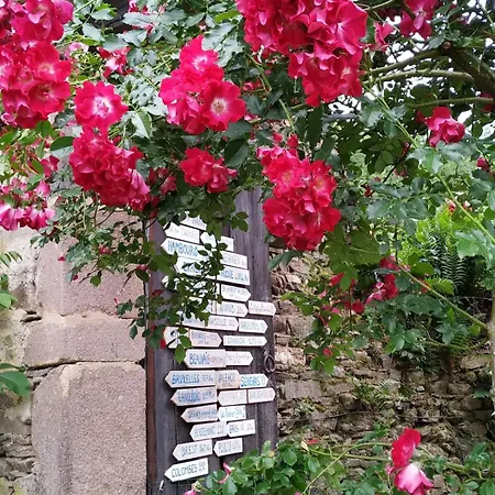 Authentic & Charming Dans Les Monts Du Lyonnais, Animaux Acceptes Konukevi