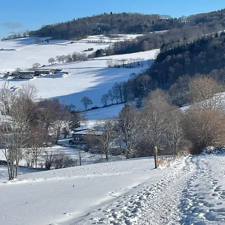 Authentic & Charming Dans Les Monts Du Lyonnais, Animaux Acceptes *