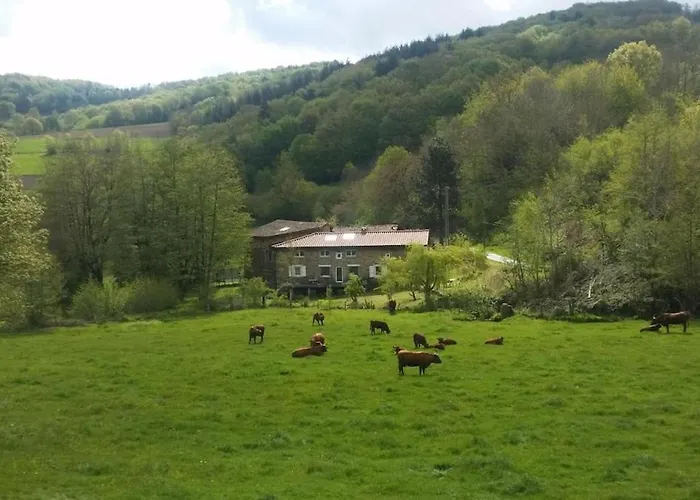 Authentic & Charming Dans Les Monts Du Lyonnais, Animaux Acceptes Larajasse