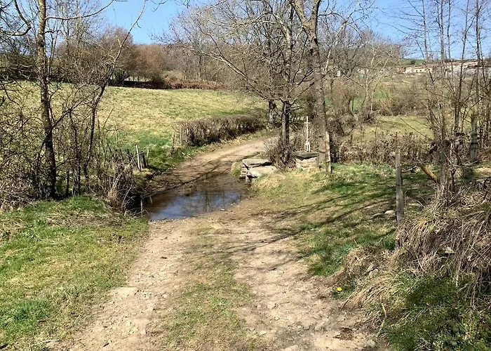 Authentic & Charming Dans Les Monts Du Lyonnais, Animaux Acceptes