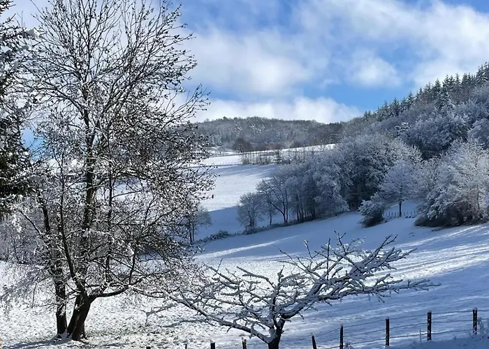 Authentic & Charming Dans Les Monts Du Lyonnais, Animaux Acceptes *