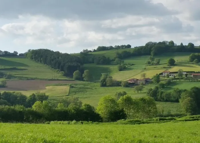 Authentic & Charming Dans Les Monts Du Lyonnais, Animaux Acceptes *