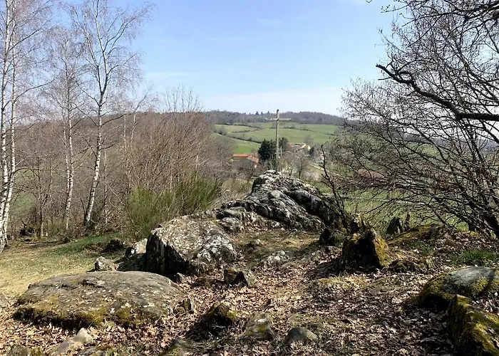 Authentic & Charming Dans Les Monts Du Lyonnais, Animaux Acceptes Konukevi Larajasse
