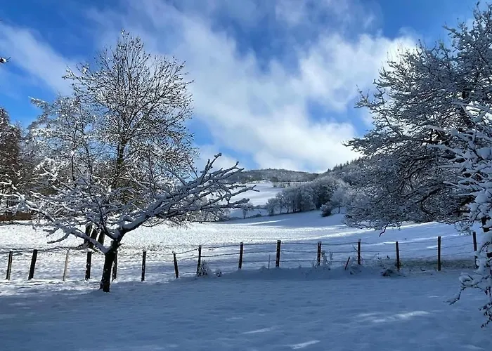 Konukevi Authentic & Charming Dans Les Monts Du Lyonnais, Animaux Acceptes Larajasse