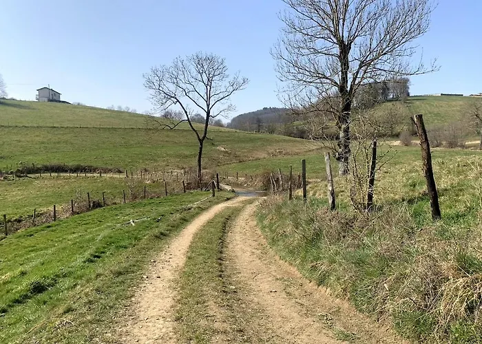 Authentic & Charming Dans Les Monts Du Lyonnais, Animaux Acceptes Konukevi