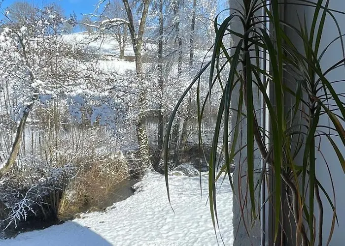 Authentic & Charming Dans Les Monts Du Lyonnais, Animaux Acceptes Konukevi Larajasse