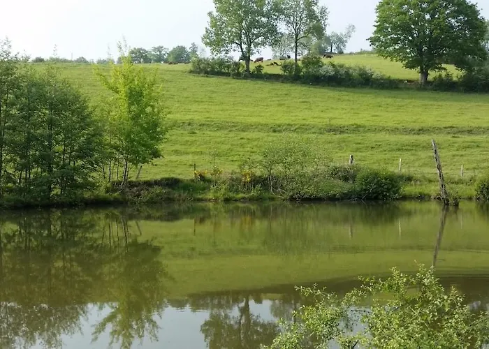 Authentic & Charming Dans Les Monts Du Lyonnais, Animaux Acceptes Konukevi