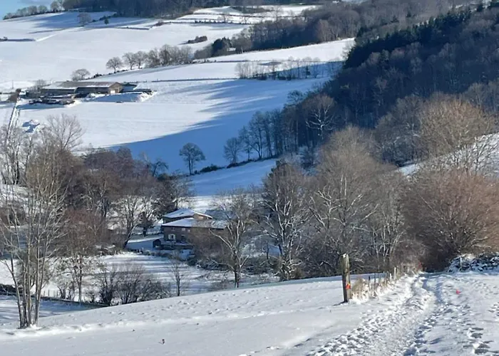 Authentic & Charming Dans Les Monts Du Lyonnais, Animaux Acceptes *