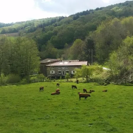 Authentic & Charming Dans Les Monts Du Lyonnais, Animaux Acceptes Larajasse