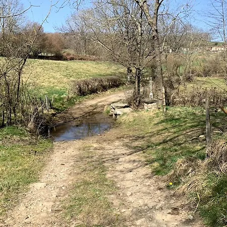 Authentic & Charming Dans Les Monts Du Lyonnais, Animaux Acceptes
