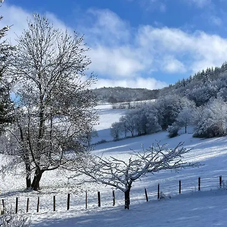 Authentic & Charming Dans Les Monts Du Lyonnais, Animaux Acceptes *