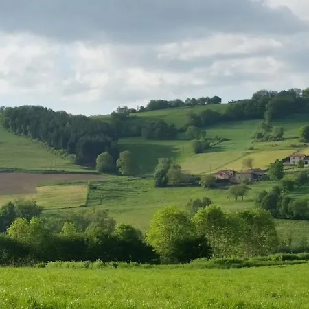 Authentic & Charming Dans Les Monts Du Lyonnais, Animaux Acceptes *