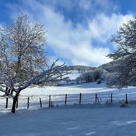 招待所 Authentic & Charming Dans Les Monts Du Lyonnais, Animaux Acceptes Larajasse