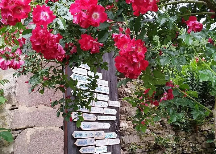 Authentic & Charming Dans Les Monts Du Lyonnais, Animaux Acceptes 게스트하우스