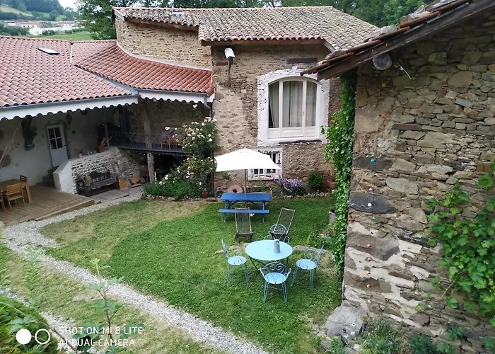 Authentic & Charming Dans Les Monts Du Lyonnais, Animaux Acceptes *